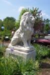Lion, sentinel, public health